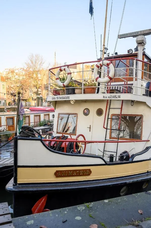 Botel Boatapartment Animathor On Top Location Rotterdam