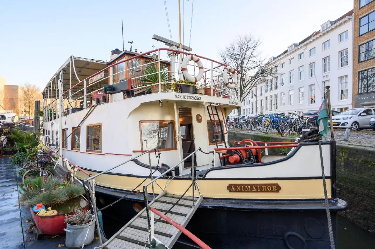 Botel Boatapartment Animathor On Top Location Rotterdam